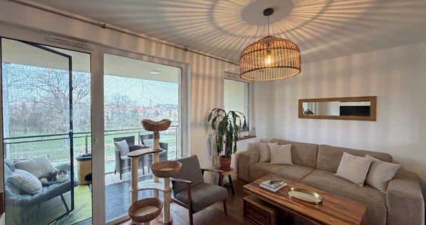 Gemini_Generated_Image_qhl03hqhl03hqhl0